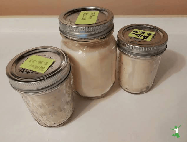 Three glass mason jars with metal lids sit on a light countertop against a beige wall, each filled with a rendered fat. Small yellow sticky-note labels with handwritten text are on the lids, but the writing is not clearly legible.