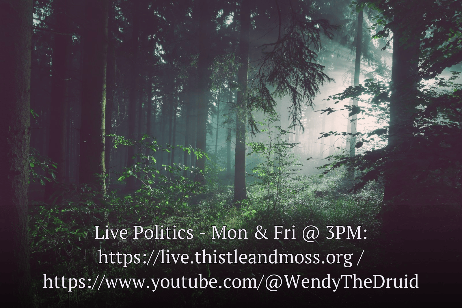 Live Politics - Mon & Fri @ 3PM: https://live.thistleandmoss.org / https://www.youtube.com/@WendyTheDruid

Live Gaming Streams - Nightly at 830PM: https://live.thistleandmoss.org / https://www.youtube.com/@WendyTheDruid / https://twitch.tv/wendythedruid