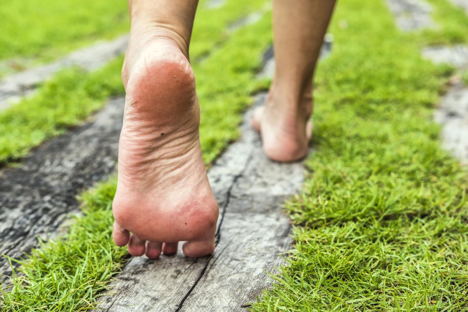 Feet walking on bear ground, like the Mother of the earth intended.