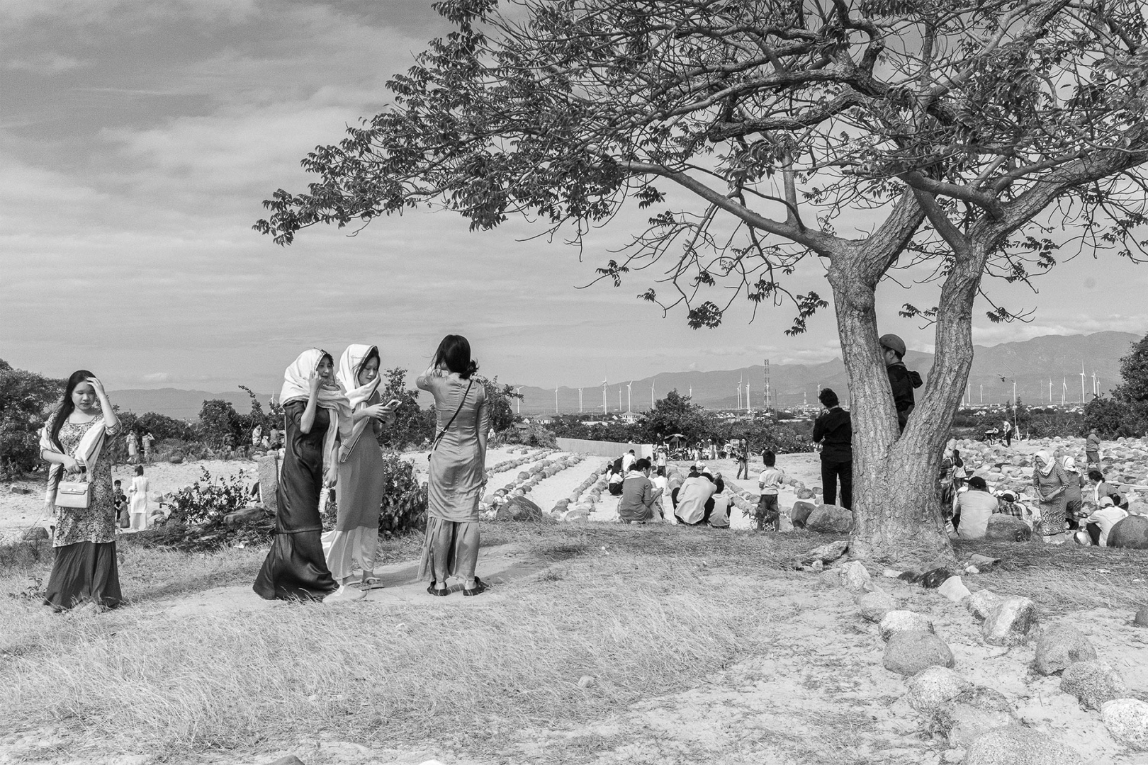 A black-and-white outdoor scene shows several people gathered in a grassy park or overlook, with three women standing in the foreground near a large tree and many others sitting or walking in the background. Mountains and rows of wind turbines are visible on the horizon under a cloudy sky.