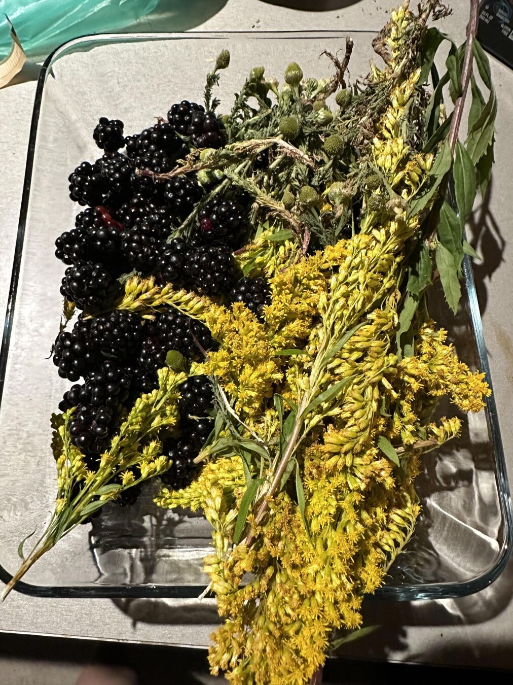 A glass baking dish on a countertop is filled with clusters of glossy blackberries mixed with stems of yellow wildflowers and green leafy sprigs, with some dried plant material tangled among them.